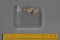 F 13450
<br/>
<br/>
<em></em>